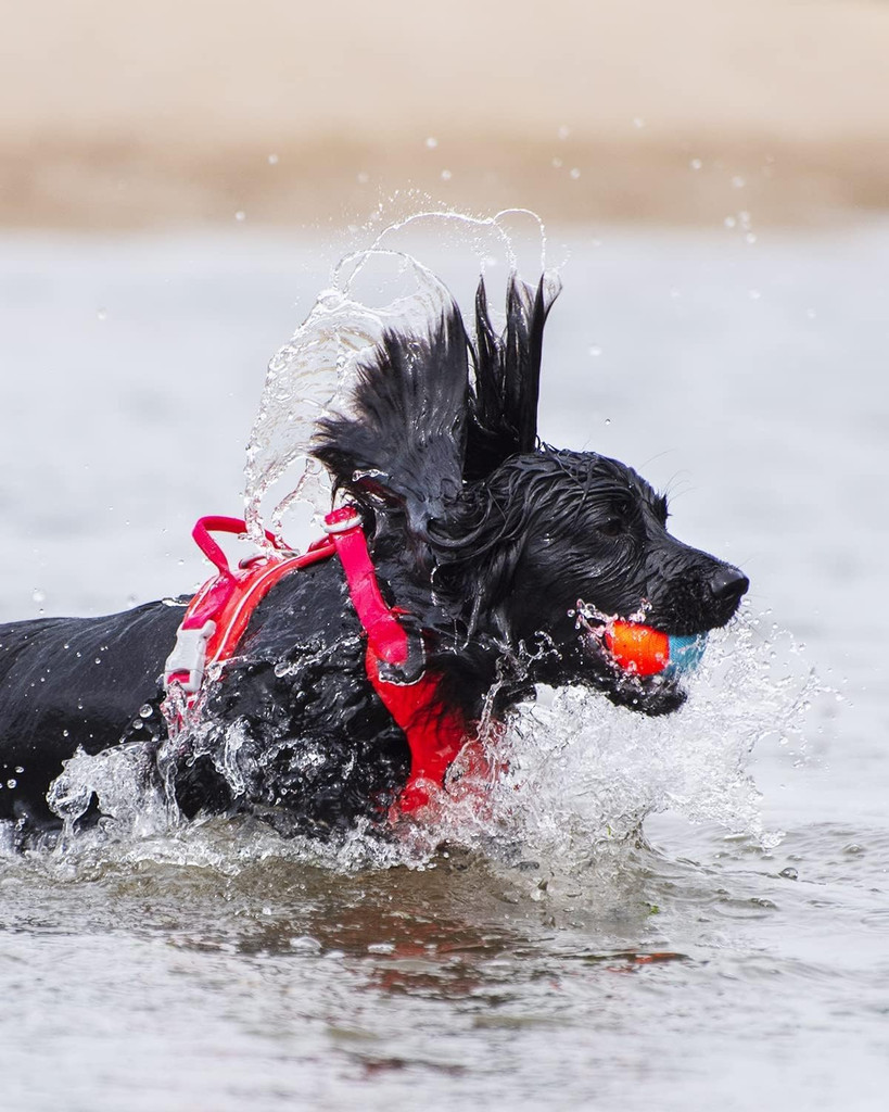 ChuckIt Amphibious Unsinkable Balls Water Fetch For Medium Dogs 3-Pack