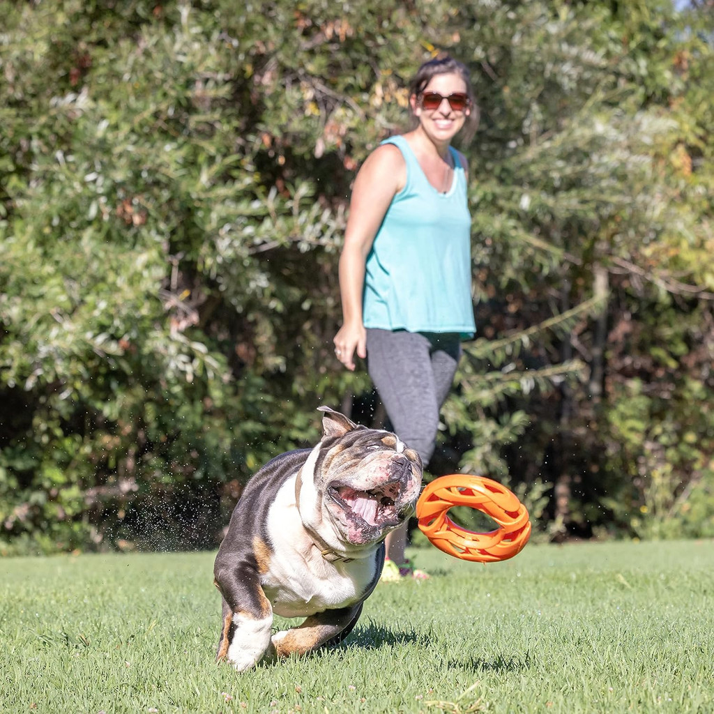 ChuckIt Air Fetch Wheel Aerodynamic Toy Run Farther Fetch Longer for Dogs