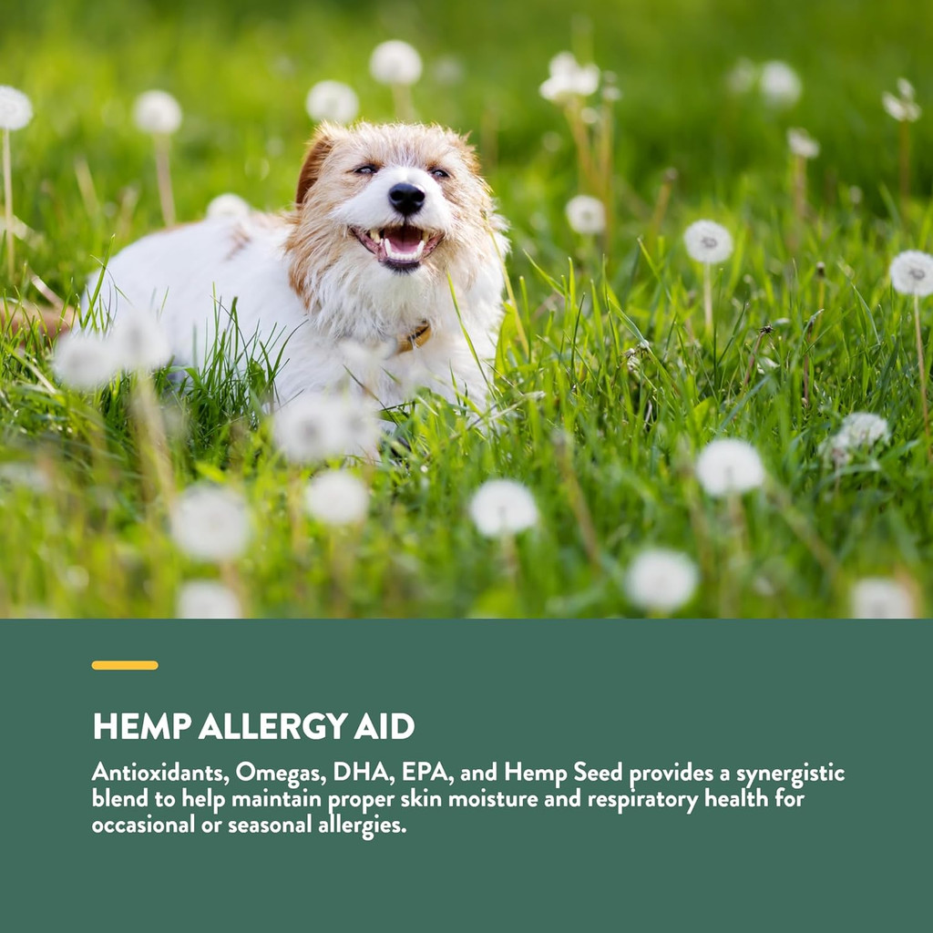 NaturVet Hemp Allergy Aid Plus Hemp Seed for Dogs 120 Soft Chews
