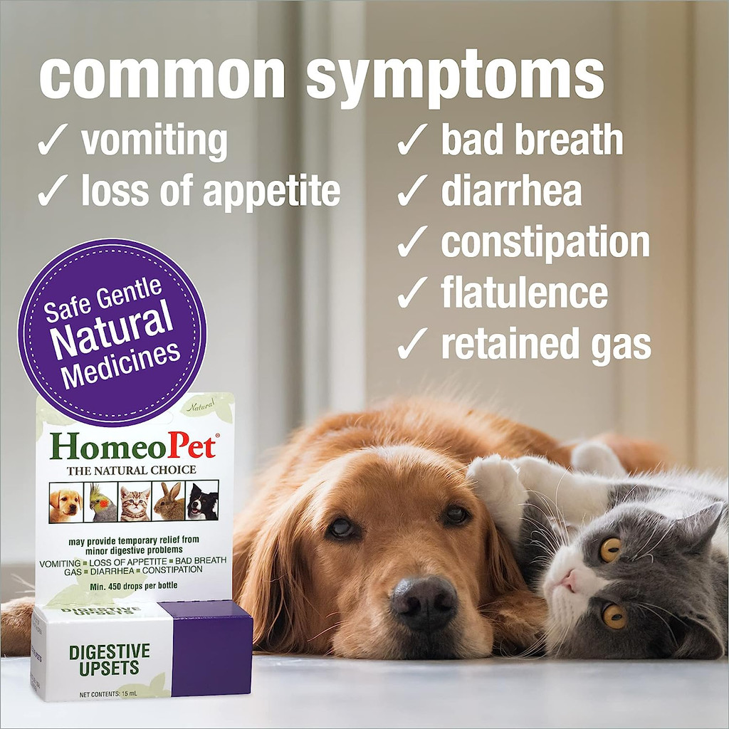 HomeoPet Digestive Upsets 15 ml  Homeopathic Stomach Relief for All Pets