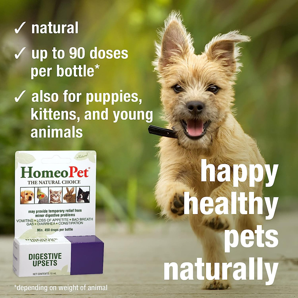 HomeoPet Digestive Upsets 15 ml  Homeopathic Stomach Relief for All Pets