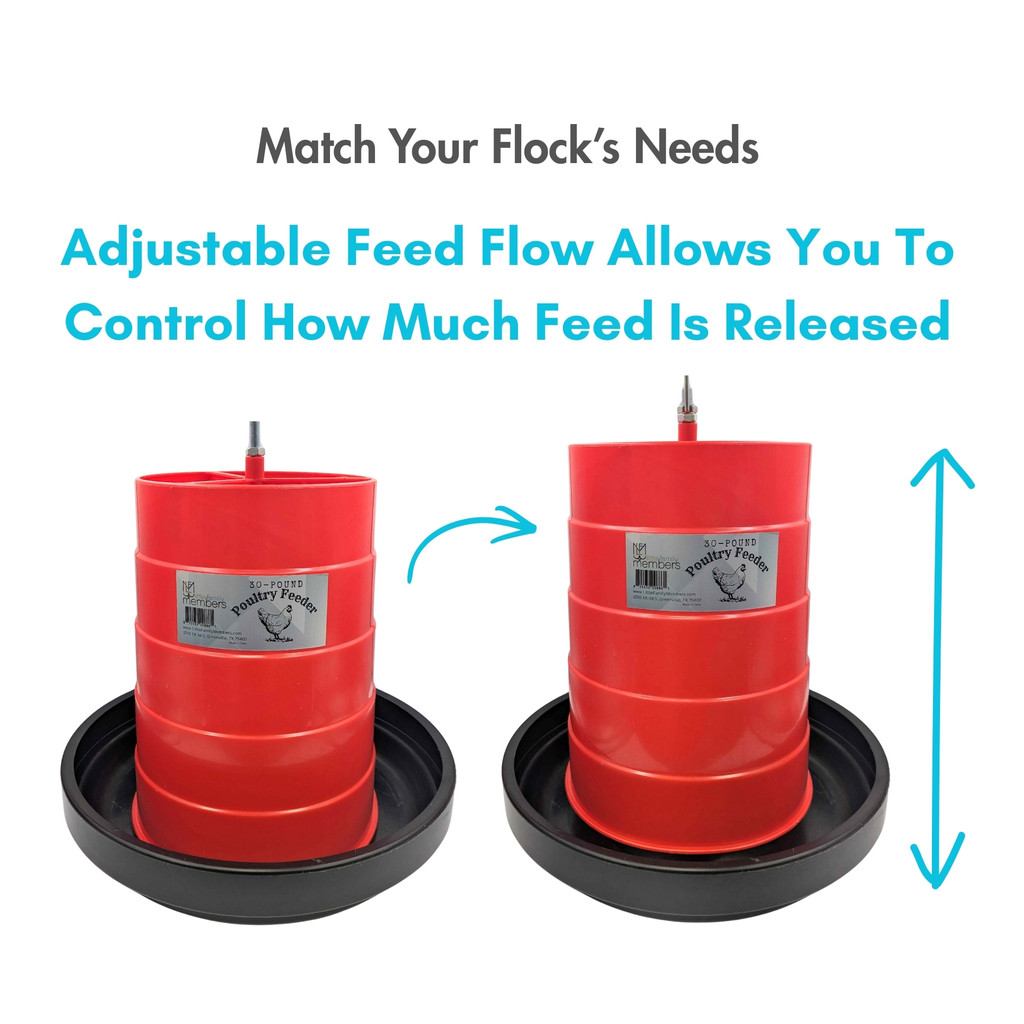 Little Family Members 30-Pound Poultry Feeder Adjustable Flow and Feed-Saving Lip