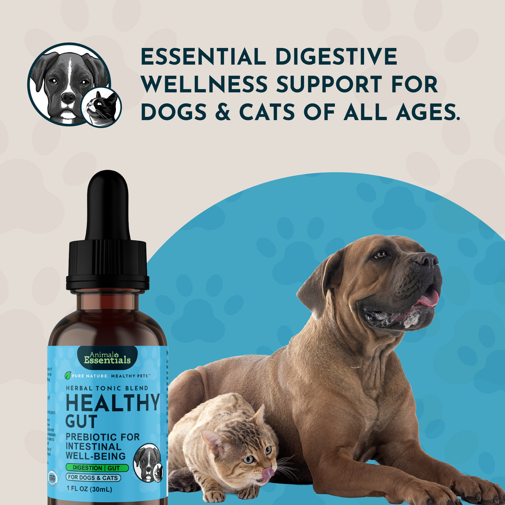 Animal Essentials Healthy Gut 1-Ounce Herbal Prebiotic Formula for Dogs and Cats