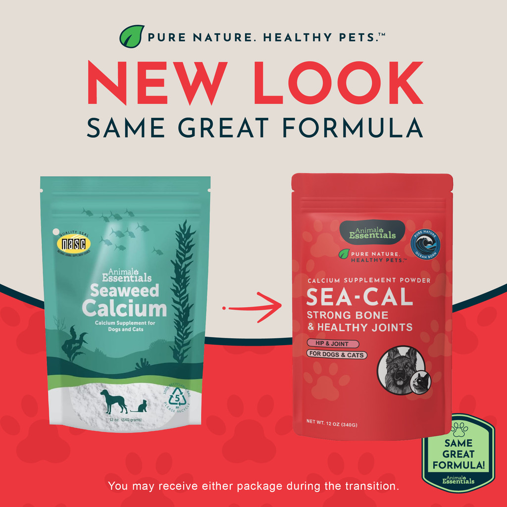 Animal Essentials Seaweed Calcium 340 gm Natural Supplement for Dogs and Cats