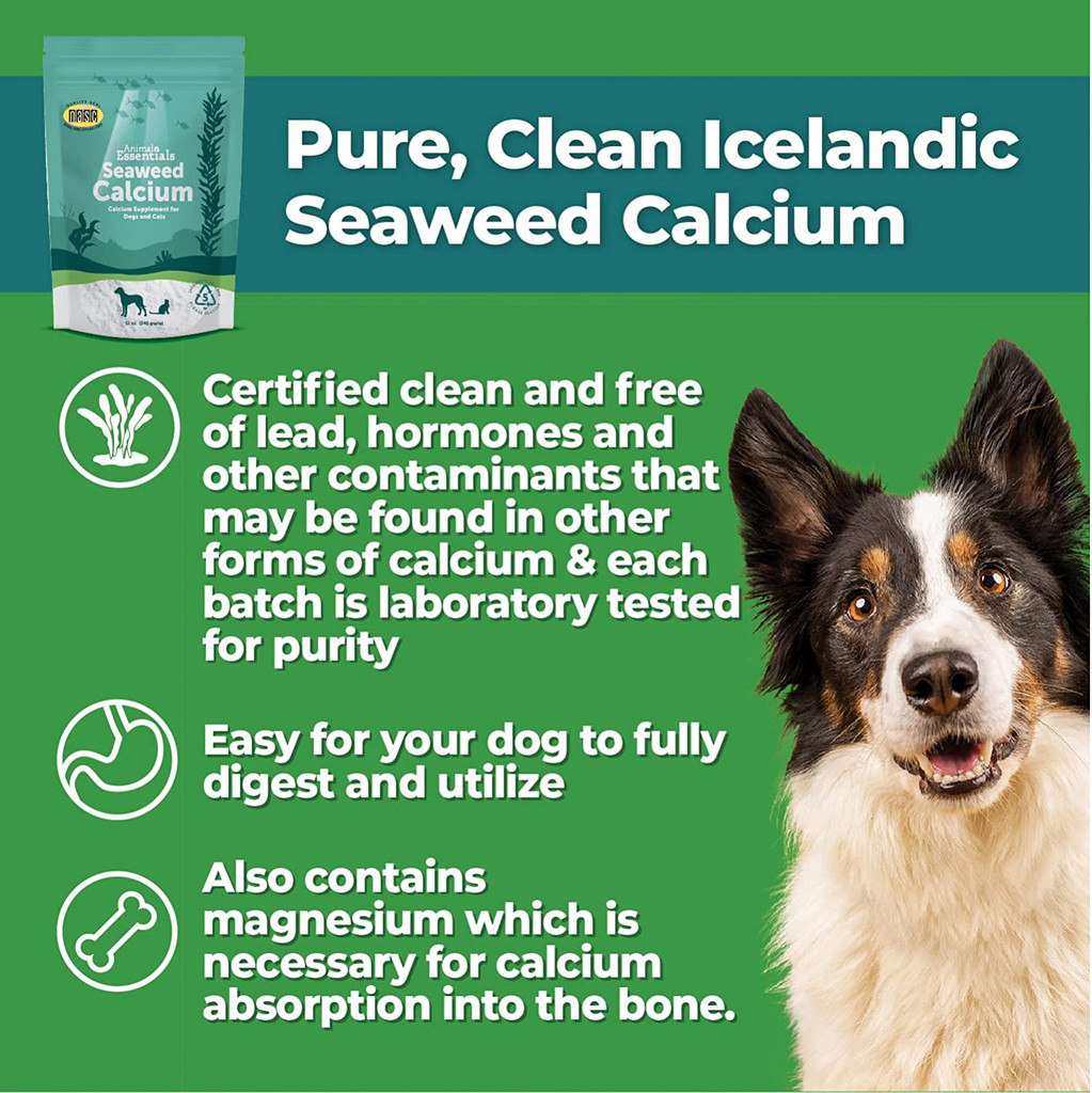 Animal Essentials Seaweed Calcium 340 gm Natural Supplement for Dogs and Cats