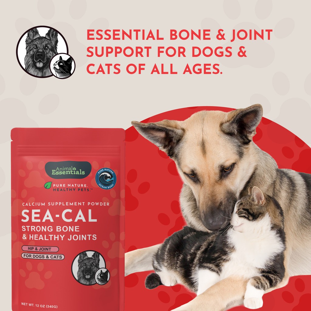 Animal Essentials Seaweed Calcium 340 gm Natural Supplement for Dogs and Cats