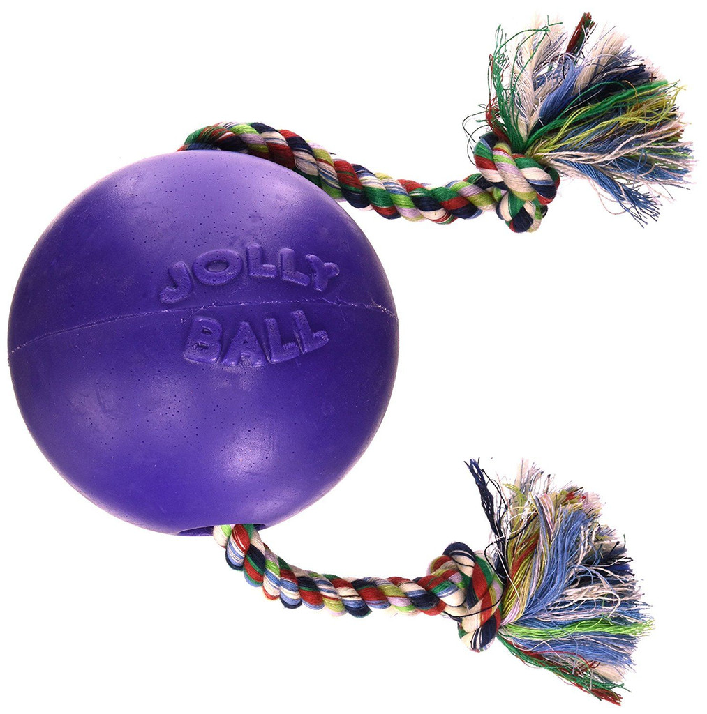 Jolly Pets Romp-n-Roll 4.5 inch Purple  Rubber Ball with Rope for Dogs