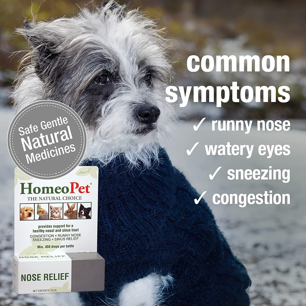 HomeoPet Nose Relief 15 ml  Homeopathic Remedy for Dogs Cats and Birds