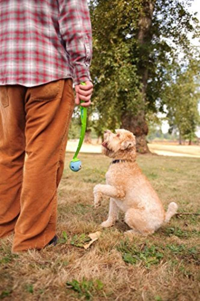 Chuckit! Dog Fetch Toy MEDLEY 3-pack Whistler Max Glow Rebounce Ball MEDIUM