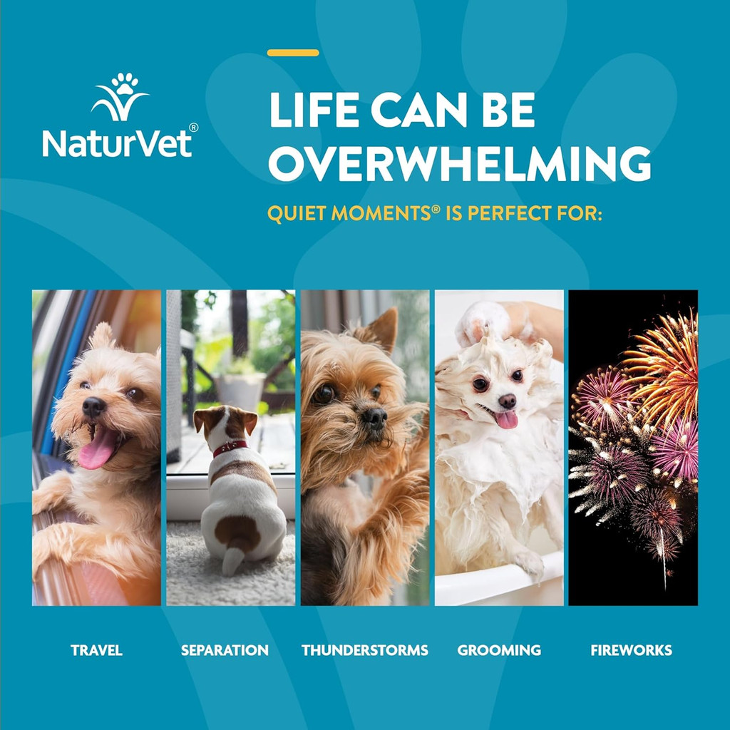 NaturVet QUIET MOMENTS CALMING AID Natural Stress Relief Dog Cat 65 Soft Chews
