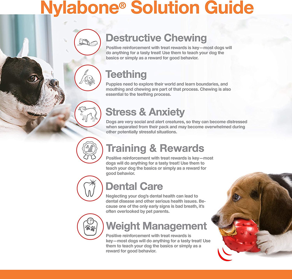 Nylabone DuraChew Original Petite Size  Tough Nylon Dental Bone for 15 lb Dogs