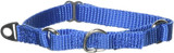 PetSafe Adjustable Martingale Collar Royal Blue For Petite Dogs 5.5-in. To 8-in.