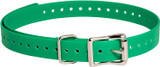 SportDog 3/4-Inch Green Collar Strap Fits Neck Size 5"-22" With Rustproof Buckle
