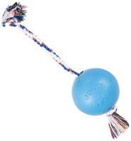 Jolly Pets Romp-n-Roll 4.5 inch Blueberry  Rubber Ball with Rope for Dogs