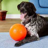 Jolly Pet Bounce-N-Play Ball Orange 8 inch  Vanilla Scented Rubber Dog Toy