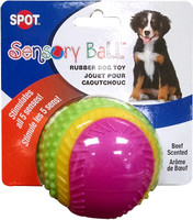 Ethical Pet Spot Sensory Ball 2.5 inch  Colorful Rubber Squeaker Toy for Dogs