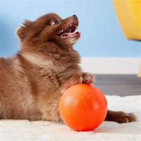 Jolly Pet Bounce-N-Play Ball Orange 4.5 inch  Vanilla Scented Rubber Dog Toy