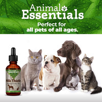 Animal Essentials Milk Thistle 1 oz Herbal Extract for Dogs and Cats