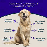 Animal Essentials Super Immune 1-Ounce Immune System Support For Dogs and Cats