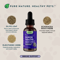 Animal Essentials Super Immune 1-Ounce Immune System Support For Dogs and Cats