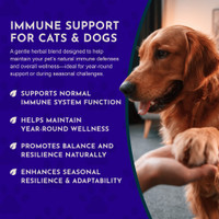 Animal Essentials Super Immune 1-Ounce Immune System Support For Dogs and Cats