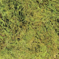 Zoo Med Frog Moss Completely All Natural Living Toads Snakes Reptiles 80 cu/in