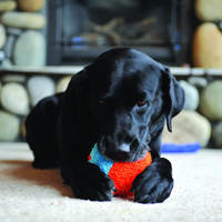 Chuckit! INDOOR FETCH TOYS Dog Puppy Soft Quiet Interactive Play ROLLER BALL