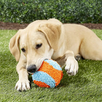 Chuckit! INDOOR FETCH TOYS Dog Puppy Soft Quiet Interactive Play ROLLER BALL