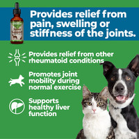 Animal Essentials Joint Health Alfalfa / Yucca Blend Dog Cat 1 ounce