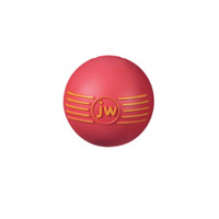 JW PET ISqueak Squeaker Dog Puppy Fetch Chew Toy MEDIUM BALL