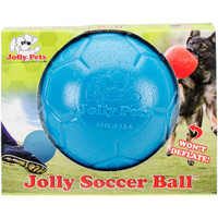 Jolly Pets Soccer Ball Blue 6 inch  Unscented Rubber Chew Toy for Dogs