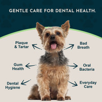 Animal Essentials Sea Dent for Dogs 70 gm Kelp and Enzymes Teeth Care
