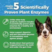 Animal Essentials Sea Dent for Dogs 70 gm Kelp and Enzymes Teeth Care