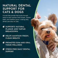Animal Essentials Sea Dent for Dogs 70 gm Kelp and Enzymes Teeth Care
