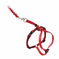 PetSafe COME WITH ME KITTY Cat Harness and Bungee Leash Red Medium