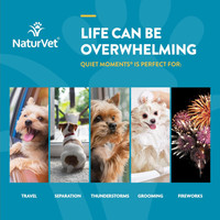 NaturVet Quiet Moments Soft Chews Reduce Stress Travel Motion Sickness 180 count