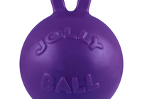 Jolly Pet Tug-n-Toss Mini Interactive Durable Float Bounce Dog Toy Purple 4 inch