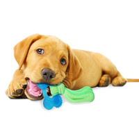 Nylabone Teething Puppy Chill'n Chew Peanut Butter Chew Toy for Dogs and Puppies