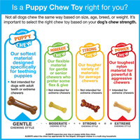 Nylabone Teething Puppy Chill'n Chew Peanut Butter Chew Toy for Dogs and Puppies
