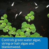 API Pond AlgaeFix Pond Algae Treatment 64 Ounces