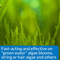 API AlgaeFix Carded Controls Algae Treatments Growth Freshwater Aquariums 8 oz