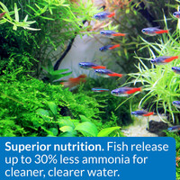 API Tropical Greens Flakes Food for Algae and Plant Eating Fish 2.1 Ounces