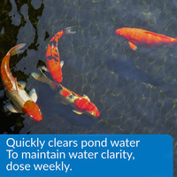 API Pond Accu-Clear Pond Water Clarifier 16 Ounces