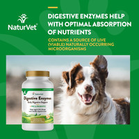 NaturVet Digestive Enzymes Plus Probiotics Soft Chew Dog and Cat 90 count