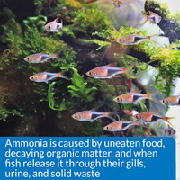 API Ammonia Test Kit 130 count  For Freshwater and Saltwater Fish Aquariums