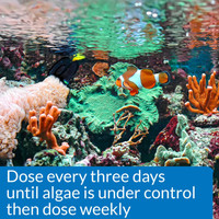 API AlgaeFix 16 oz  Keeps Marine and Reef Aquariums Clean and Clear for Fish