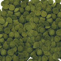 Aqueon Algae Rounds Food for all Algea Eater Fish 3oz