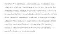 Seachem KanaPlex Treats Fungal and Bacterial Fish Diseases - 5 grams (0.18oz)