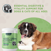Animal Essentials Herbal Green Alternative Antioxidant For Dogs & Cats 12-Oz.