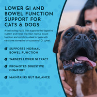 Animal Essentials Phytomucil 1 oz Digestion Support Formula for Dogs and Cats